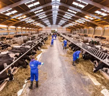 تبدیل سوله به مرکز تولید