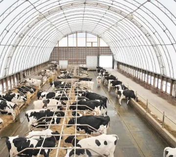 ساخت سوله دامداری