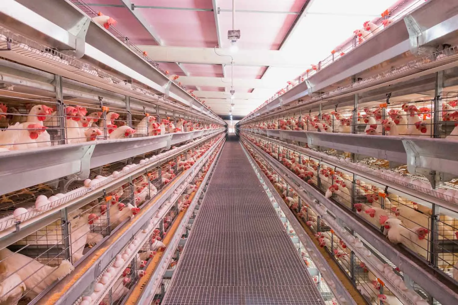 نقش سوله‌سازی در توسعه صنایع و اقتصاد